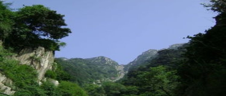 泰山在哪 泰山在哪个区