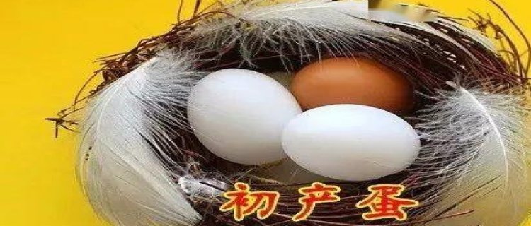 14种被吹上天却没什么用的食物(别再当冤大头了!)