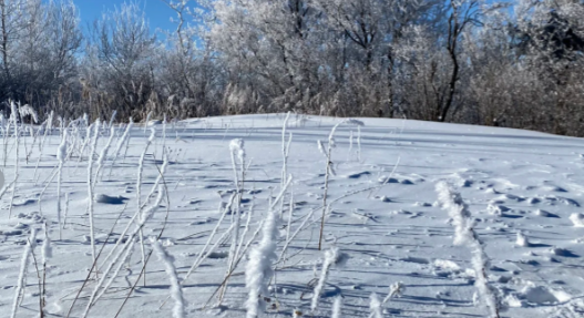 哈尔滨亚布力滑雪场现在开放了吗1