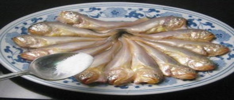 鱼能吃馒头吗，如何给鱼喂食