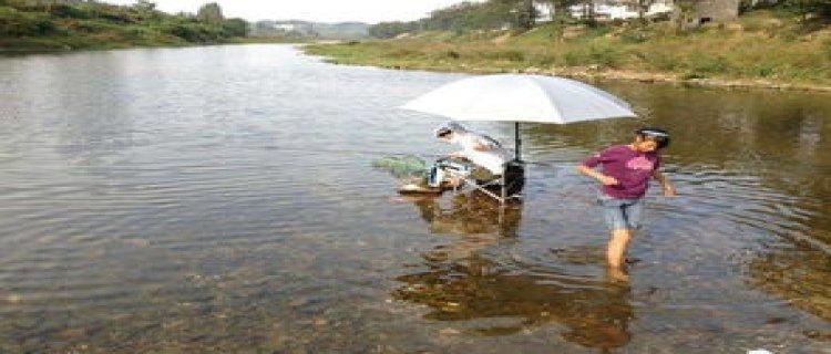 夏天钓鱼应该钓深水还是浅水，钓远水还是近水