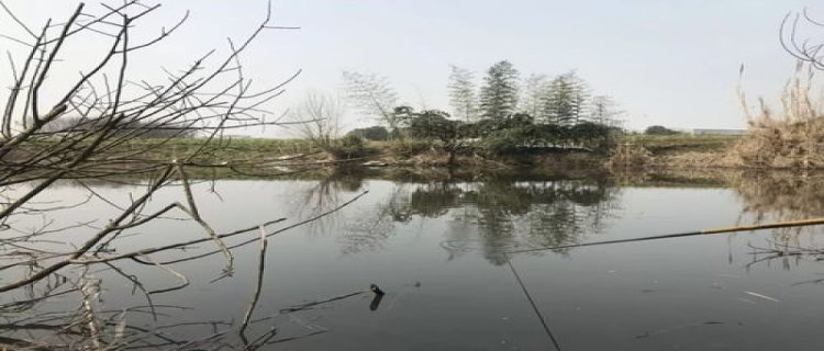 冬季阴雨天还能钓到鱼吗，技巧有哪些