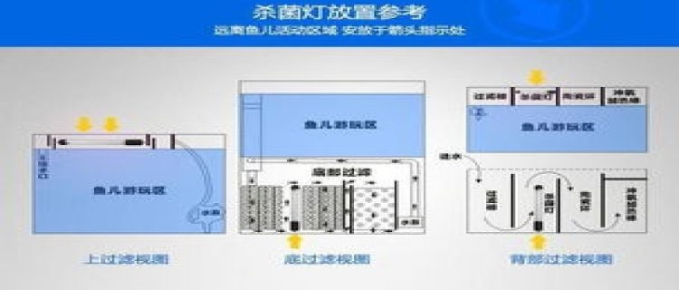 鱼缸杀菌灯白天开还是晚上开，杀菌灯有什么用