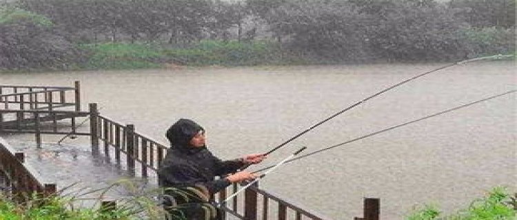 雨天钓鲫鱼应该怎么钓(雨天钓鲫鱼应该怎么钓-简短介绍)