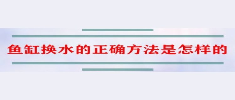 鱼缸全部换水的正确方法是什么，换水一般换多少