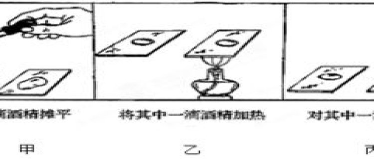 钓鱼快慢跟什么因素有关，用什么方法钓鱼最快