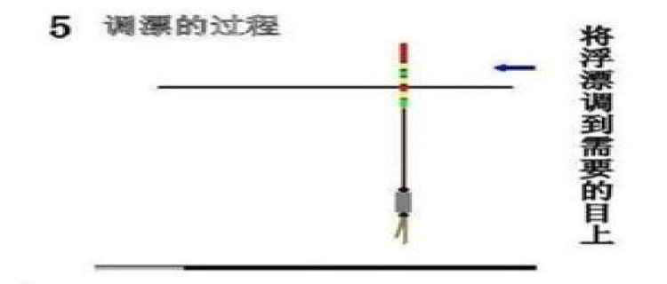 夏天钓鲫鱼用什么漂型比较好，怎么调漂最好