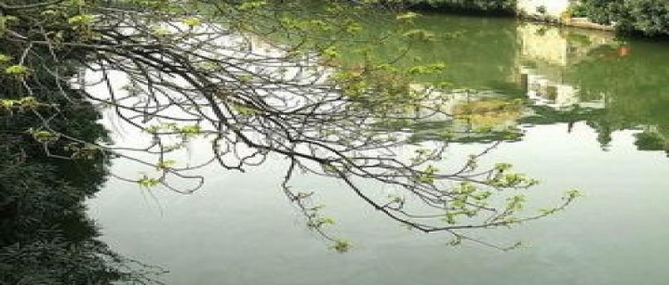 立冬后能钓鱼吗，下雨能钓鱼吗