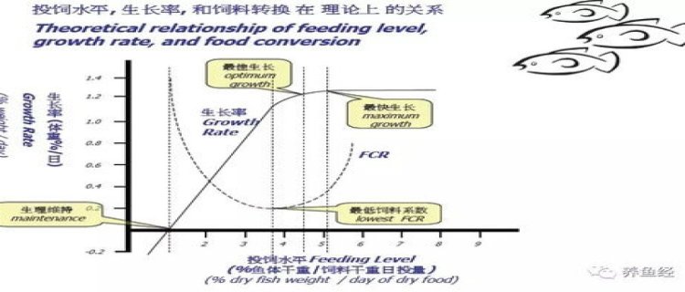 几斤饲料长一斤鱼，饵料系数有哪些影响因素