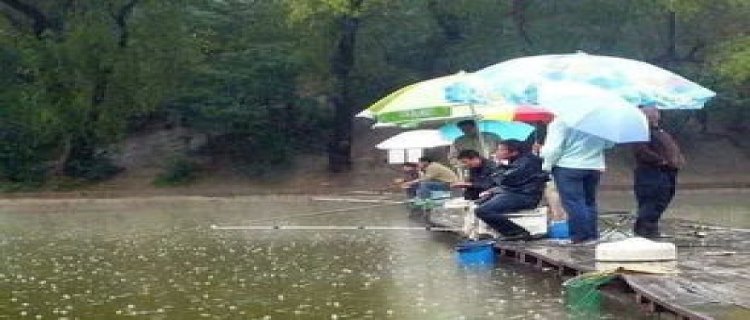 夏季雨后钓鱼好钓吗北方(夏季雨后夜钓鱼好钓吗)