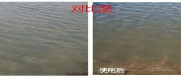 养鱼池水浑浊怎么处理，养鱼池怎么消毒杀菌