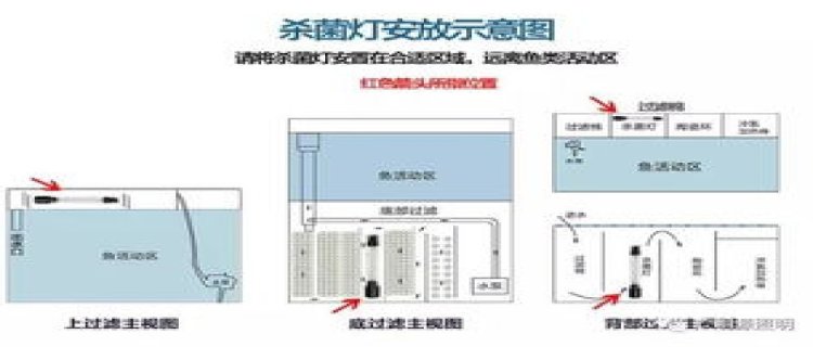 鱼缸一般可以用几年，什么会影响鱼缸寿命