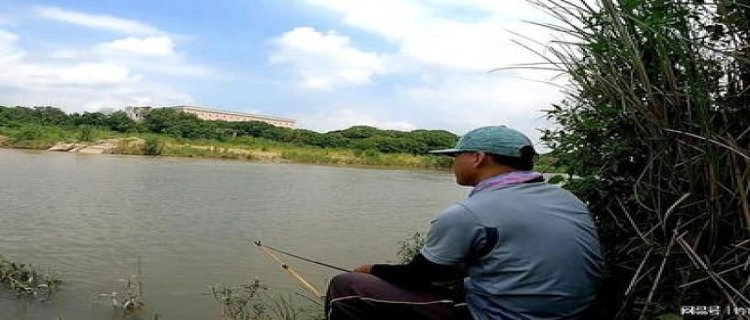 夏天钓鲤鱼要调漂吗，调几钓几最好