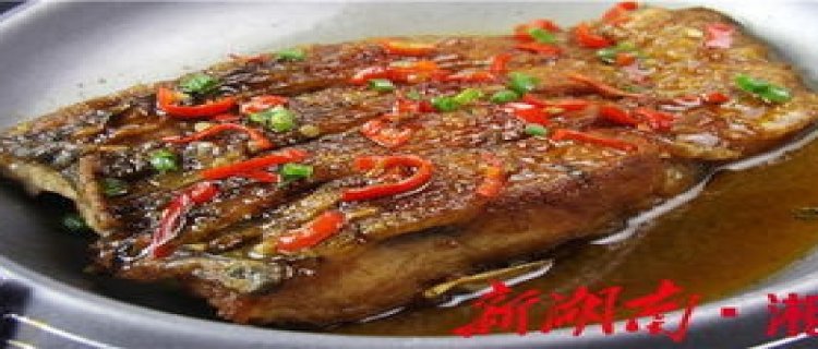 青鱼吃什么食物，能吃肉吗