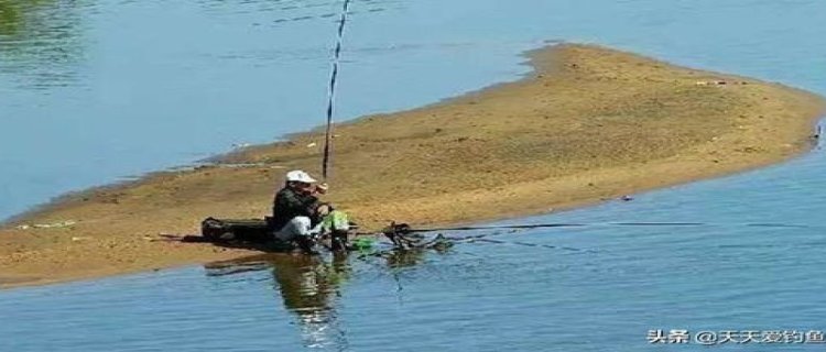 夏天钓鲤鱼什么时间钓最好，钓深水还是浅水