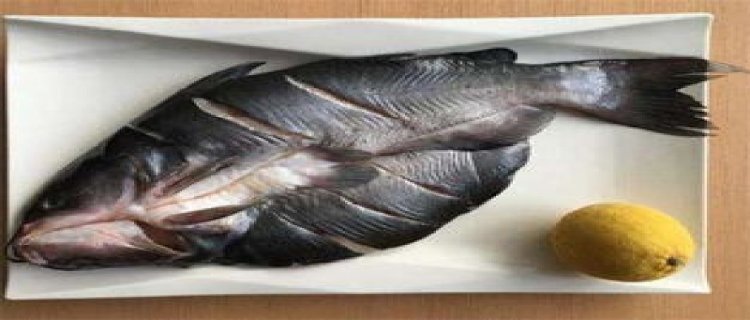 黔鱼和清江鱼是一种鱼吗，有什么区别(黔鱼和清江鱼是一种鱼吗)