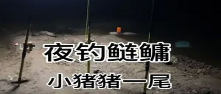 夜钓鲢鳙可以吗，温度最低要多少