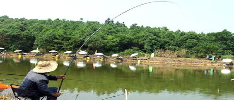 初夏降温好钓鱼吗，前一天好钓鱼吗(初夏突然降温10度能钓鱼)