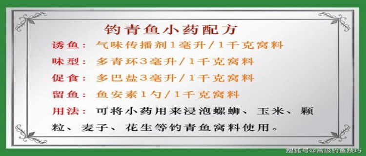 冬季钓青鱼用什么饵料最好，用什么小药最好