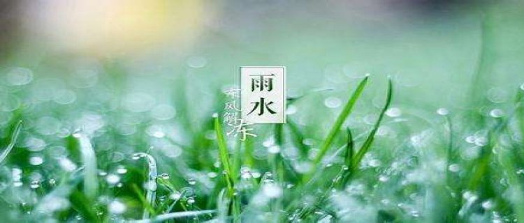 早春下雨能钓鱼吗，怎么钓鱼