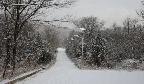 北京今年春节期间有雪吗20242