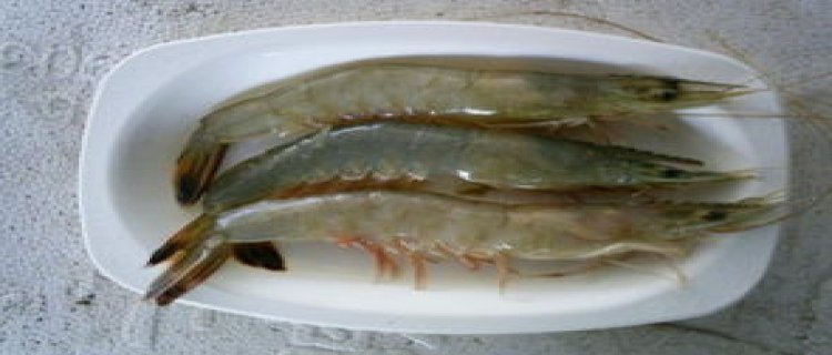 基围虾是淡水虾还是海水虾好吃(基围虾淡水虾和海水虾怎样区分)