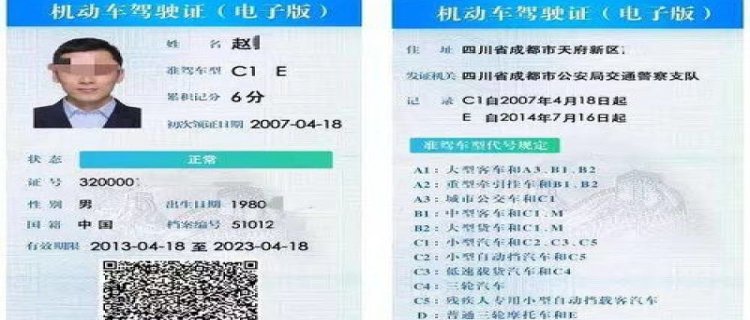 电子驾驶证法律效力(电子驾驶证照片尺寸)
