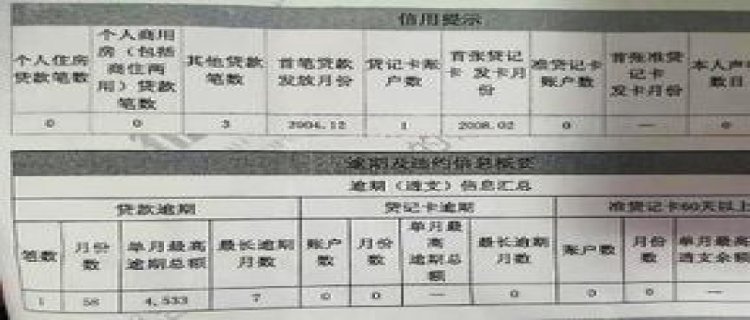 征信有20个逾期怎么样才能恢复(征信有2次逾期可以贷款吗)