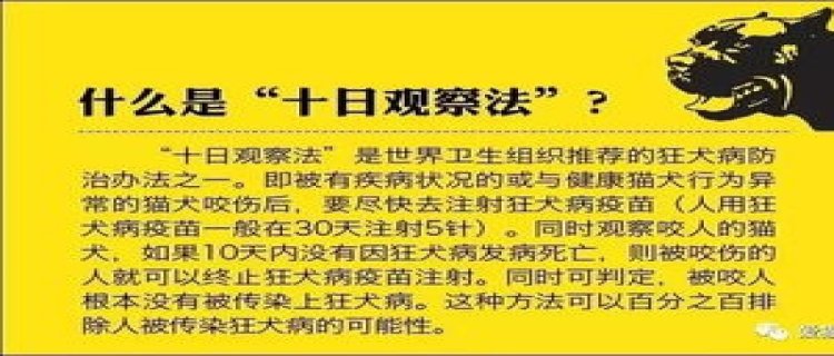 被猫咬十日观察法害死多少人(被猫咬了一口十日观察法)