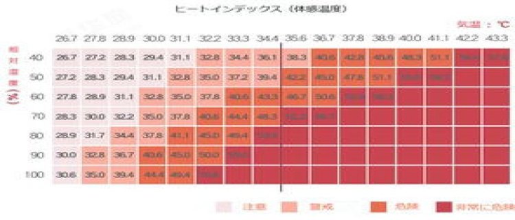 2024年延吉医院招聘(延吉医院招聘信息网)