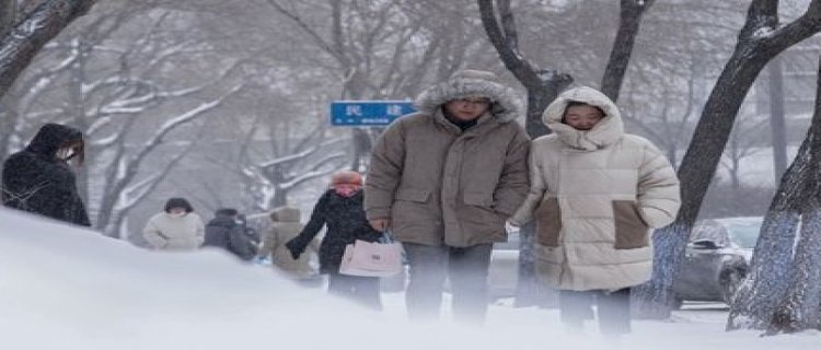 雪台风是什么意思 为什么会有雪台风