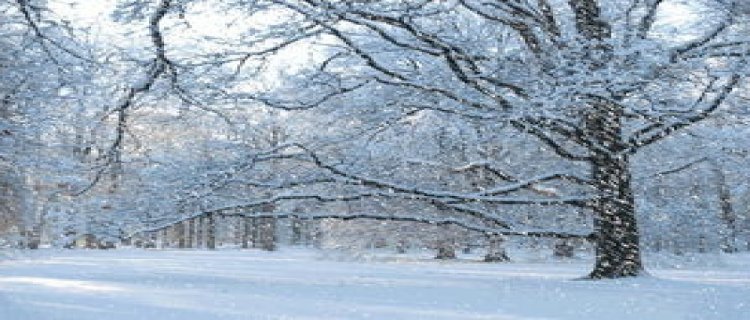 大雪冬至哪个在前(冬至和七夕哪个在前)