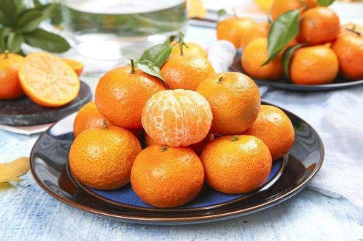 砂糖橘和酸奶一起吃会中毒吗，砂糖橘和酸奶一起吃会拉肚子吗