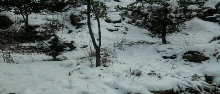 河南2月份会下雪吗