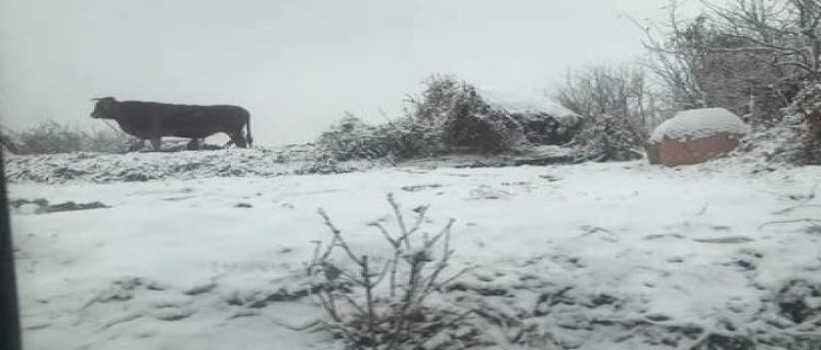 河南2月份会下雪吗 河南2月份天气是好是坏