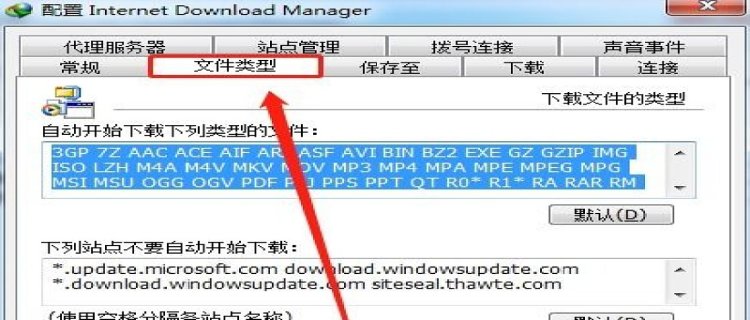 IDM下载器如何添加自动下载的文件类型 IDM下载器怎么设置自动下载