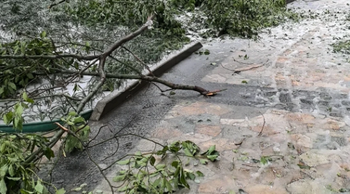 冻雨路面如何安全驾驶(冻雨路面会结冰吗)