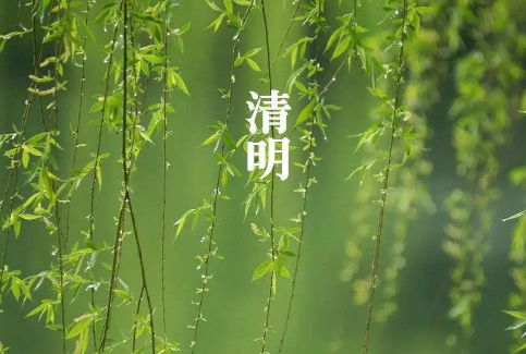 清明节在寒食节后面吗(清明节是在寒食节前还是在寒食节后)