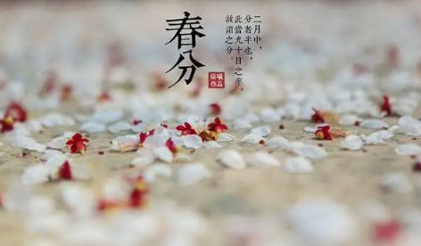 春分下雨好还是不下雨好(2024年春分有雨好不好)