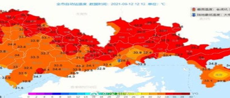 2024年深圳市巡视组(2024年中央督导组进驻一览表)