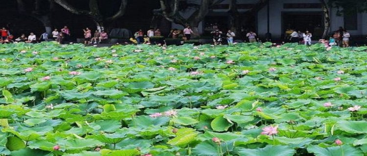 南京6月份是梅雨季节吗